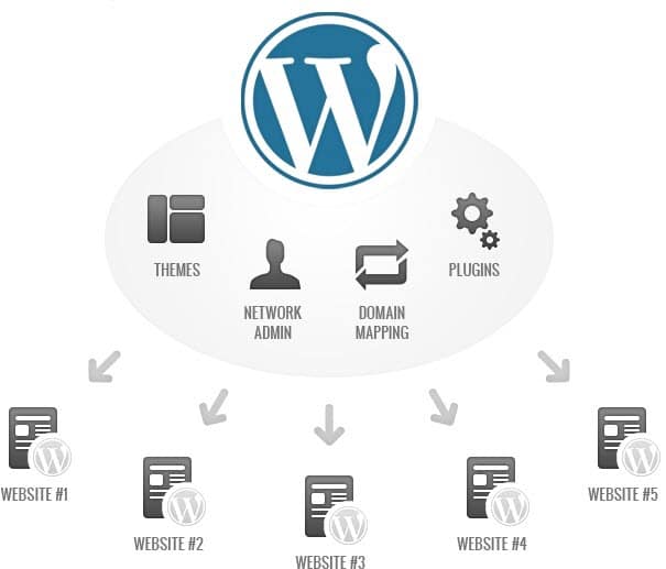 multisite wordpress